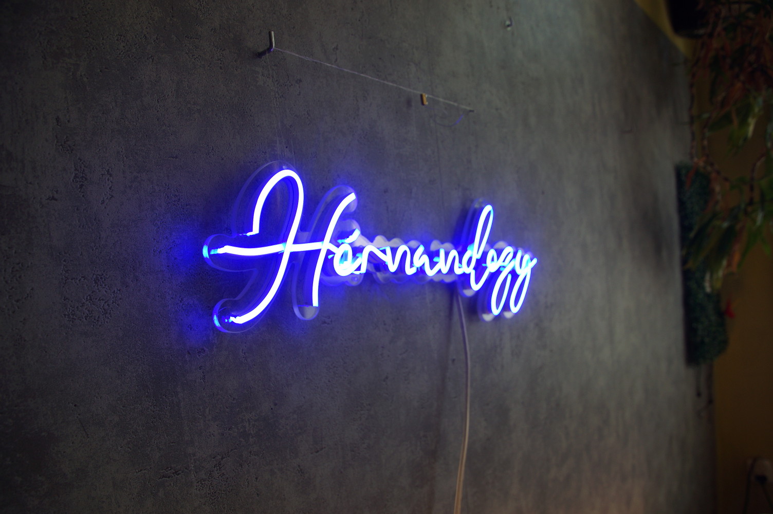 hernandezy 0002.JPG